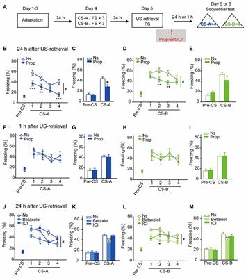 Unconditioned- and Conditioned- Stimuli Induce Differential Memory Reconsolidation and β-AR-Dependent CREB Activation